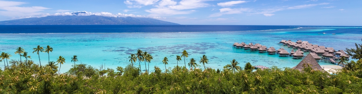 Moorea Panorama über die Bucht mit Overwater Villen (AlexQ / stock.adobe.com)  lizenziertes Stockfoto 
Información sobre la licencia en 'Verificación de las fuentes de la imagen'